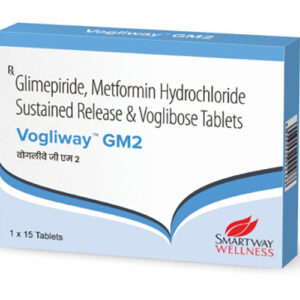 Vogliway GM2 15 Tablets