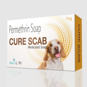 CURE SCAM Medicated Saop